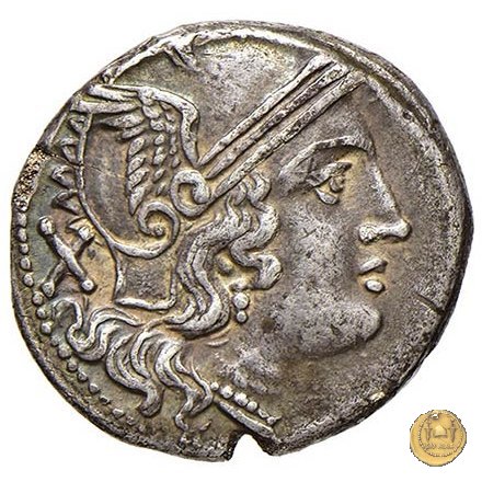 75/1 - denario C. Aelius 209-208 BC (Sicilia)