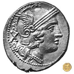 75/1 - denario C. Aelius 209-208 BC (Sicilia)