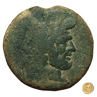 76/2 - asse 209-208 BC (Sicilia)