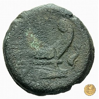 80/2 - asse 209-208 BC (Sicilia ?)