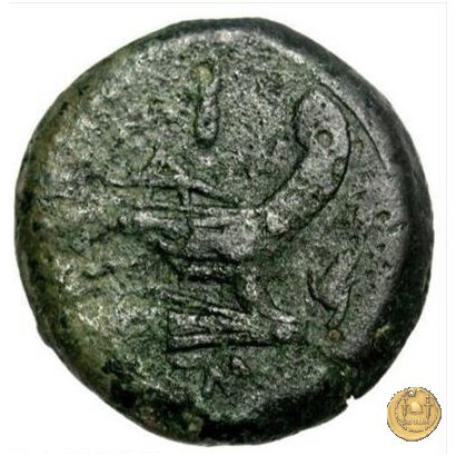 80/2 - asse 209-208 BC (Sicilia ?)