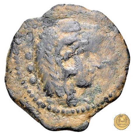 (81) - quadrante 130-128 BC (Spagna)