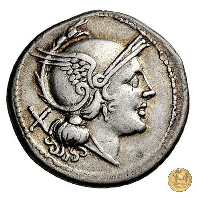 84/1 - ROMA 211-210 BC (Italia Sud Est)