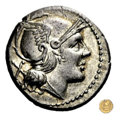 84/1 - ROMA 211-210 BC (Italia Sud Est)