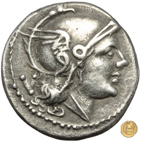 84/2 - ROMA 211-210 BC (Italia Sud Est)