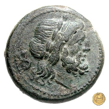 84/5 - semisse 211-210 BC (Italia Sud Est)