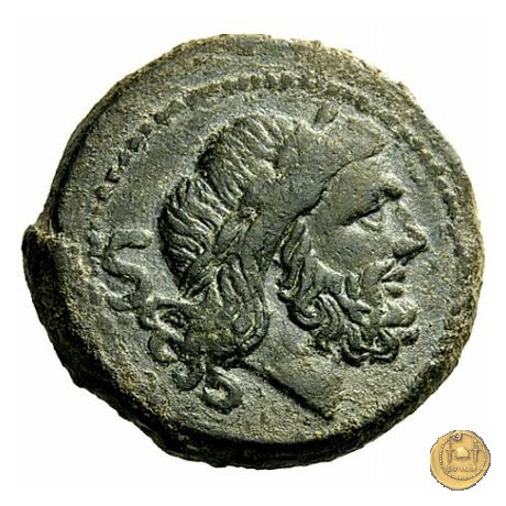 84/5 - semisse 211-210 BC (Italia Sud Est)