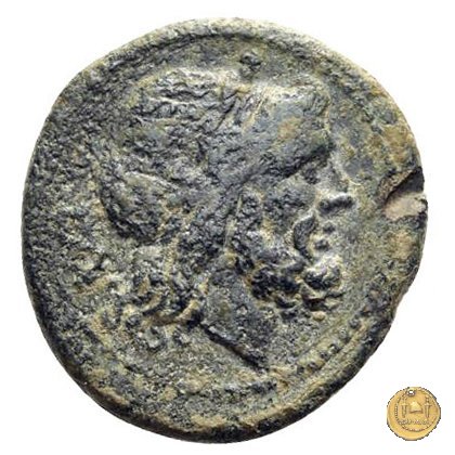 84/5 - semisse 211-210 BC (Italia Sud Est)