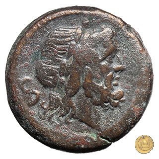 84/5 - semisse 211-210 BC (Italia Sud Est)