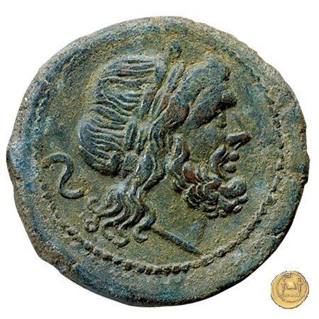 84/5 - semisse 211-210 BC (Italia Sud Est)