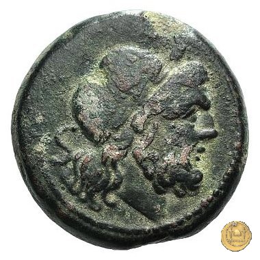 85/3 - semisse 211-210 a.C. (Italia Sud Est)