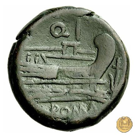 86B/1 - asse 211-210 BC (Italia Sud Est)