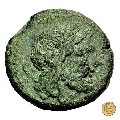 86B/2 - semisse 211-210 BC (Italia Sud Est)