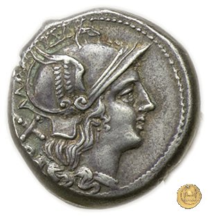 88/2 - punta di lancia (spearhead) 209 BC (Italia Sud Est)