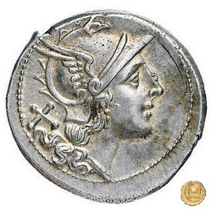 88/2 - punta di lancia (spearhead) 209 BC (Italia Sud Est)