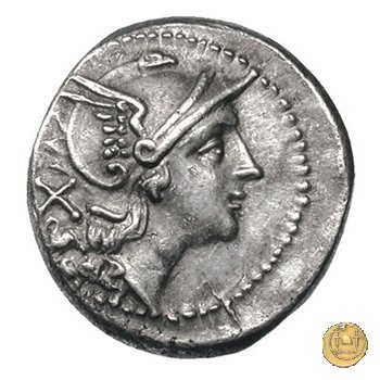 88/2 - punta di lancia (spearhead) 209 BC (Italia Sud Est)