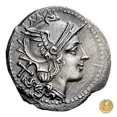 88/2 - punta di lancia (spearhead) 209 BC (Italia Sud Est)