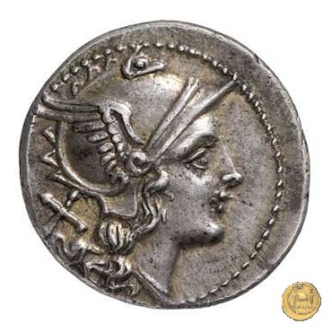 88/2 - punta di lancia (spearhead) 209 BC (Italia Sud Est)