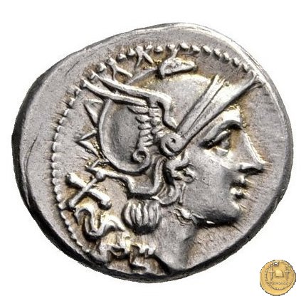88/2 - punta di lancia (spearhead) 209 BC (Italia Sud Est)