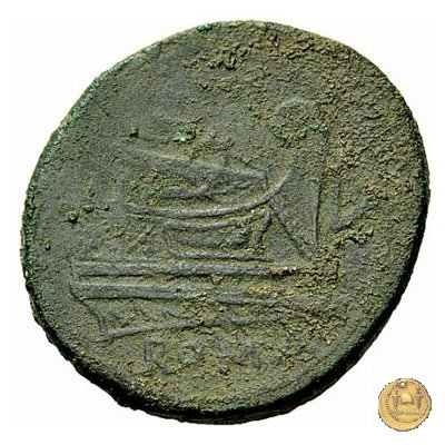 97/10 - semisse 211-208 BC (Luceria)