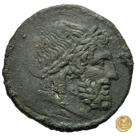 97/10 - semisse 211-208 BC (Luceria)