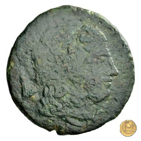 97/11 - quinconcia 211-208 a.C. (Luceria)