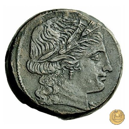 97/16 - dextans 211-208 BC (Luceria)