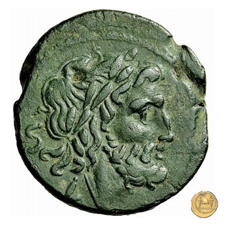 97/17 - semisse 211-208 BC (Luceria)