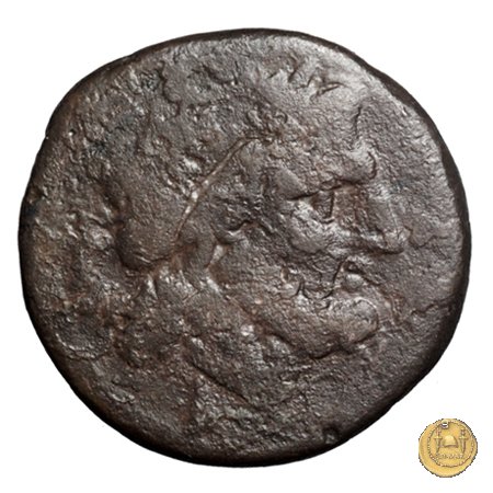 97/17 - semisse 211-208 BC (Luceria)