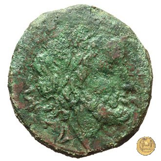 97/17 - semisse 211-208 BC (Luceria)