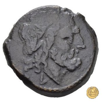 97/17 - semisse 211-208 BC (Luceria)