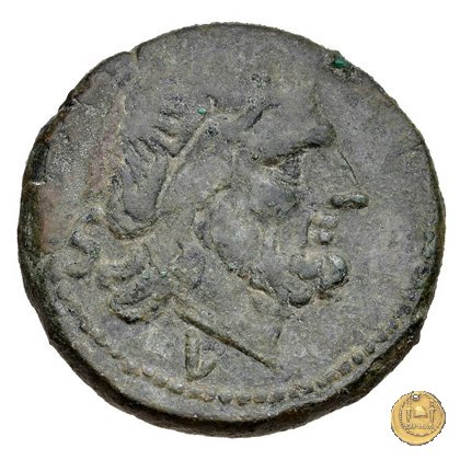 97/17 - semisse 211-208 BC (Luceria)