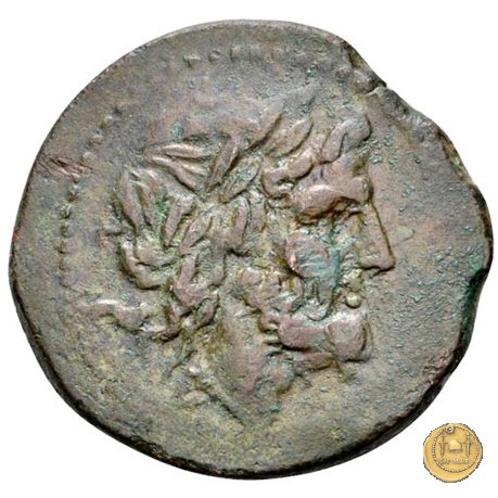 97/24 - semisse 211-208 BC (Luceria)