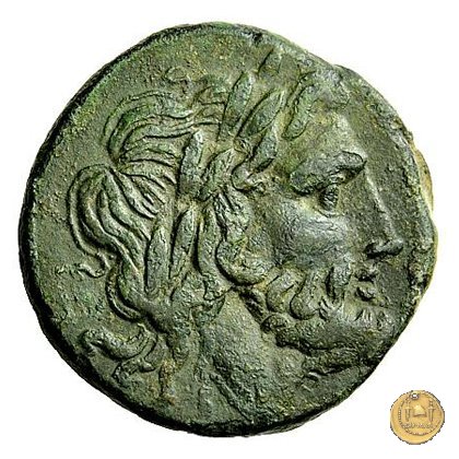 97/24 - semisse 211-208 BC (Luceria)