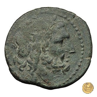 97/24 - semisse 211-208 BC (Luceria)