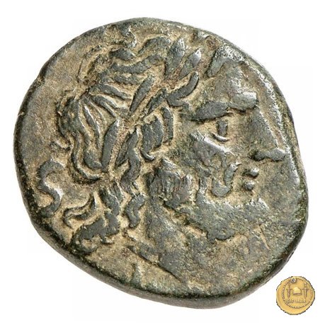 97/24 - semisse 211-208 BC (Luceria)