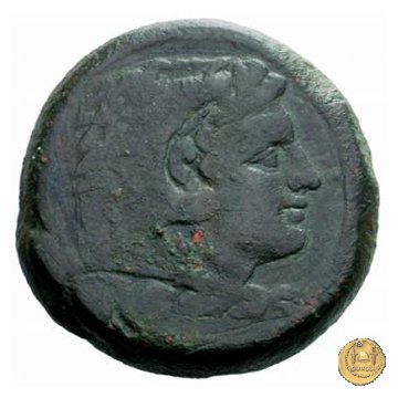 97/5 - quadrante 211-208 a.C. (Luceria)