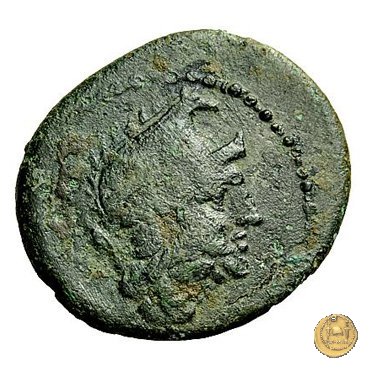 97/7 - oncia 211-208 BC (Luceria)