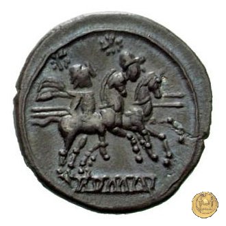 98B/1 211 BC (Luceria ?)