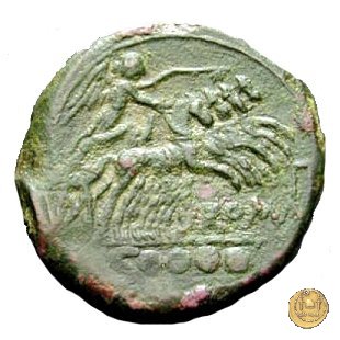 99/2 - dextans 209-208 BC (Luceria)