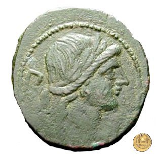 99/2 - dextans 209-208 BC (Luceria)