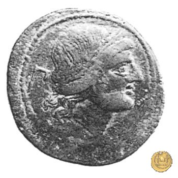 99/2 - dextans 209-208 BC (Luceria)