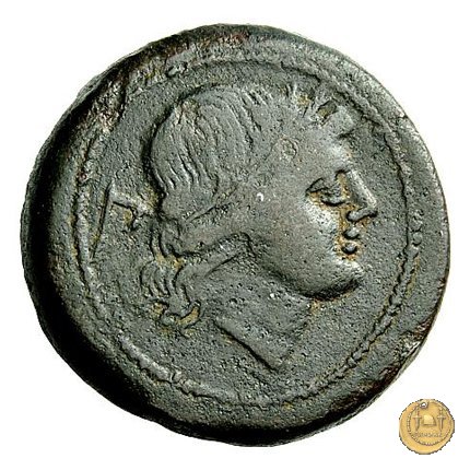 99/2 - dextans 209-208 BC (Luceria)