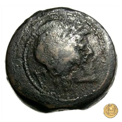 99/2 - dextans 209-208 BC (Luceria)