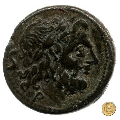 99/3 - semisse 209-208 BC (Luceria)