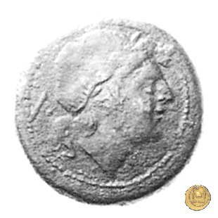 99/4 - quinconcia 209-208 BC (Luceria)