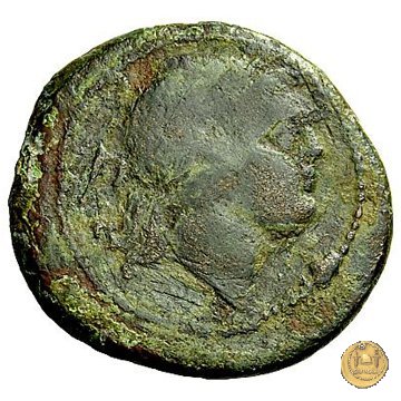 99/4 - quinconcia 209-208 BC (Luceria)