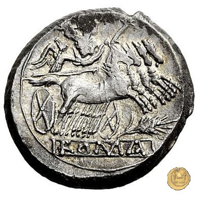 didramma o quadrigato con spiga di grano 214-212 BC (Sicilia)