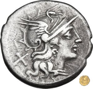 206/1 - denario Spurius Afranius 150 a.C. (Roma)