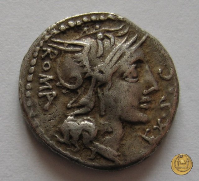 286/1 - denario M. Sergius Silus 116-115 BC (Roma)